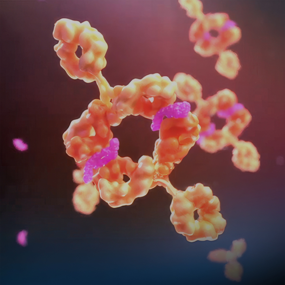 When the Immune System Cannot Get In