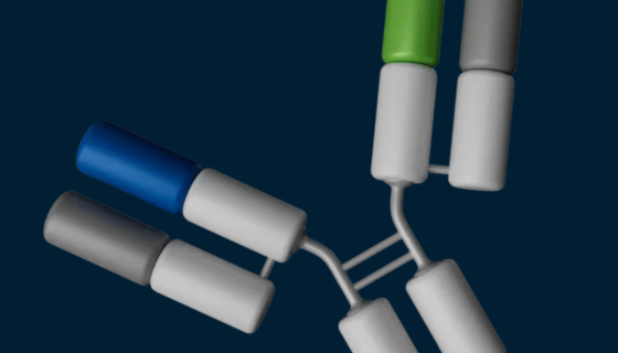 Mobilizing the Immune System Against Solid Tumors