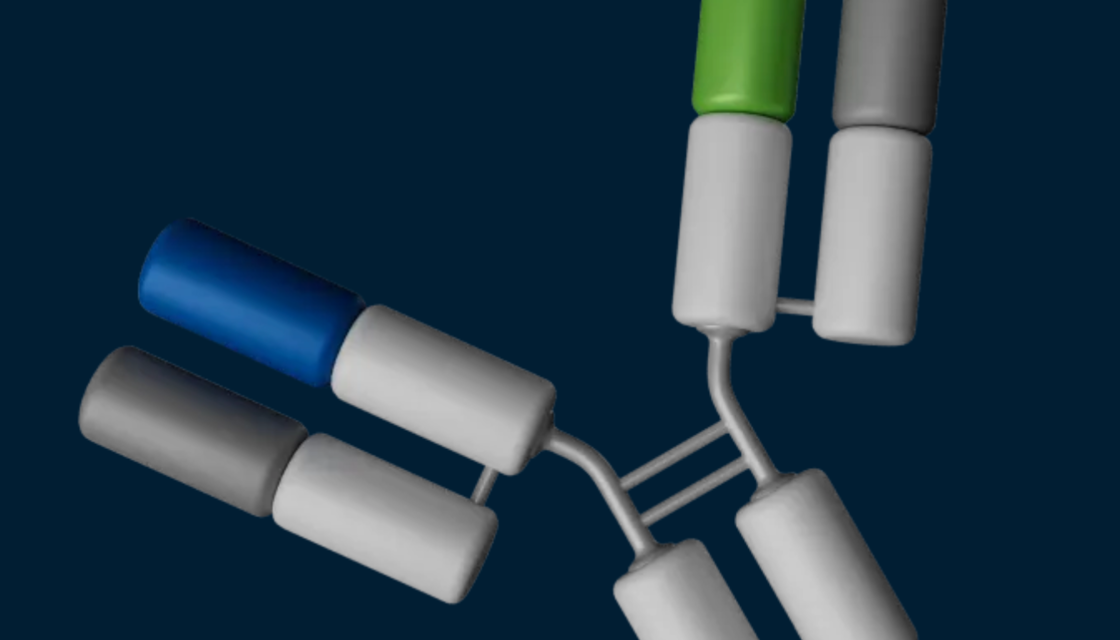 Mobilizing the Immune System Against Solid Tumors