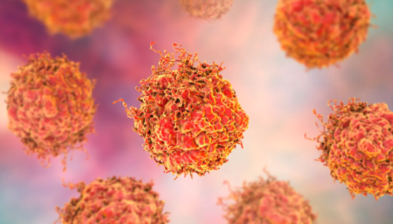Advancing Hope for Prostate Cancer Patients: Johnson & Johnson Acquires Halda for $3.05B